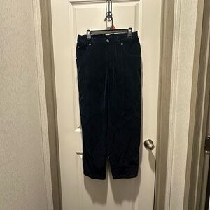 Elisabeth Weinstock Navy Velvet Pants